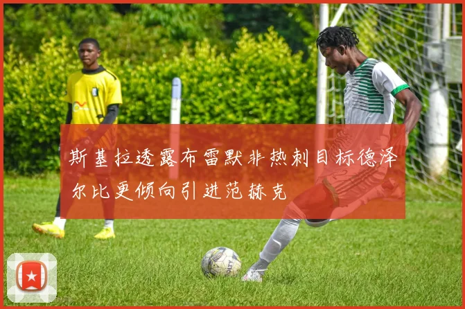 斯基拉透露布雷默非热刺目标德泽尔比更倾向引进范赫克