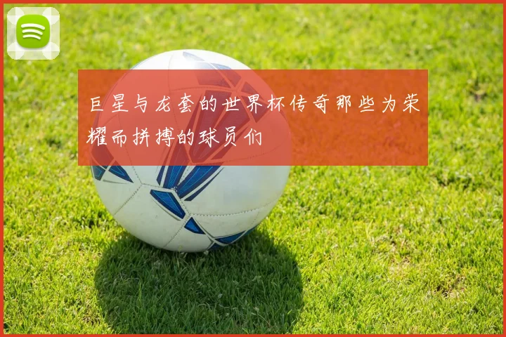 巨星与龙套的世界杯传奇那些为荣耀而拼搏的球员们